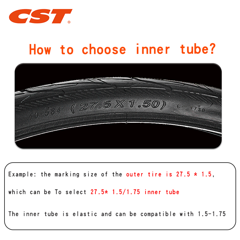 2 Stuks Cst Fiets Binnenbanden - Inner Tube 700C recensie en prijs
