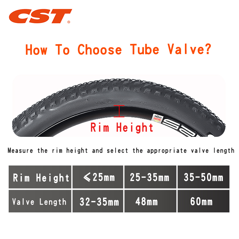 2 Stuks Cst Fiets Binnenbanden - Inner Tube 700C recensie en prijs